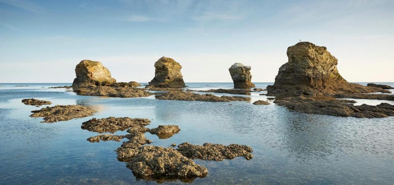 Appart Bord De Mer, 6 Places, Plage, Dune, Parking Gratuit, Rez De Chaussee Сент-Илер-де-Рие Екстериор снимка